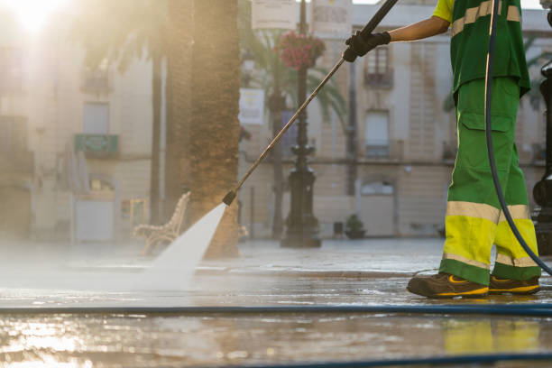 Best Driveway Pressure Washing  in Bad Axe, MI